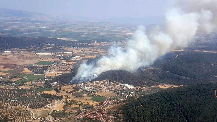 İzmir'de orman yangını! Havadan karadan müdahale ediliyor