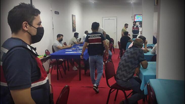 Jandarma baskın düzenledi! 533 bin lira ceza kesildi