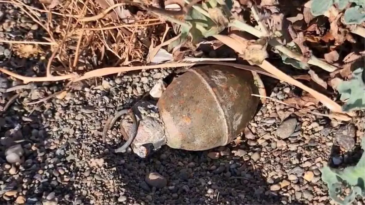 Orhangazi'de Patlamamış El Bombası Paniği