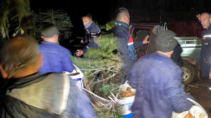 Ormana mantar toplamaya giden 3 kişi kayboldu!