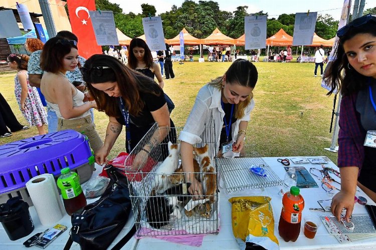 İzmir'de 'sahiplendirme' şenliği