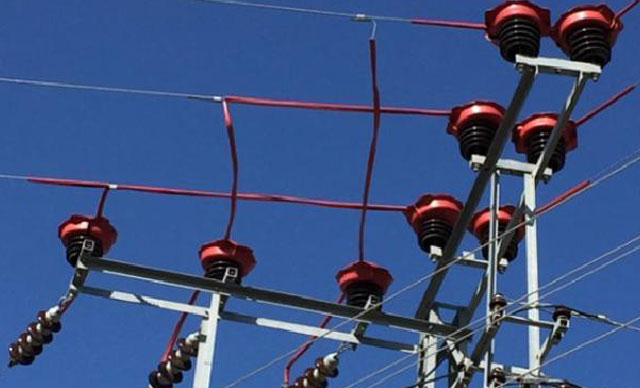 Toroslar EDAŞ’tan elektrik hatlarındaki kuş ölümlerine yalıtımlı hat ile önlem