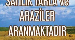 Satılık  Arazi  Tarla  Aranıyor.